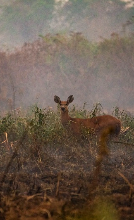 15697_F6C5784D6E5E23FF