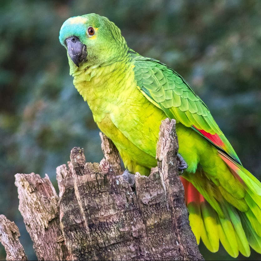 AdobeStock_280904867