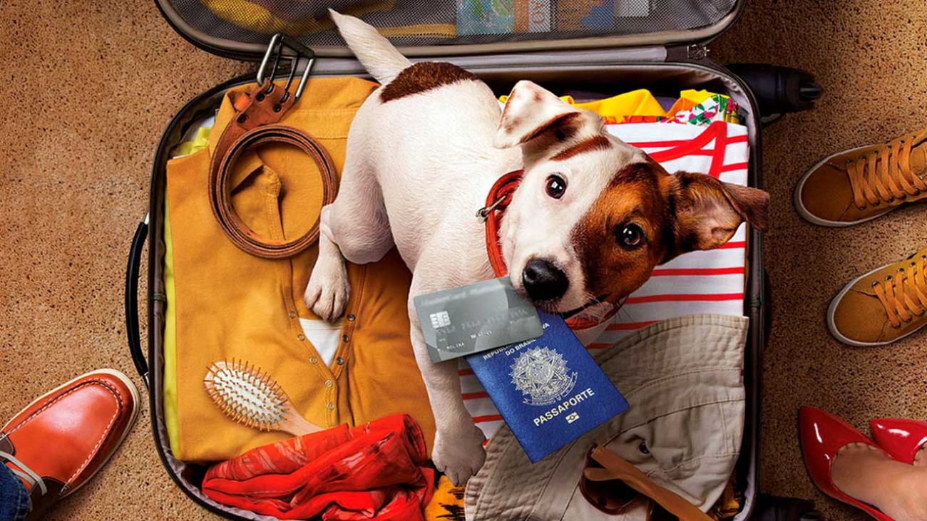 viagem-pet-03